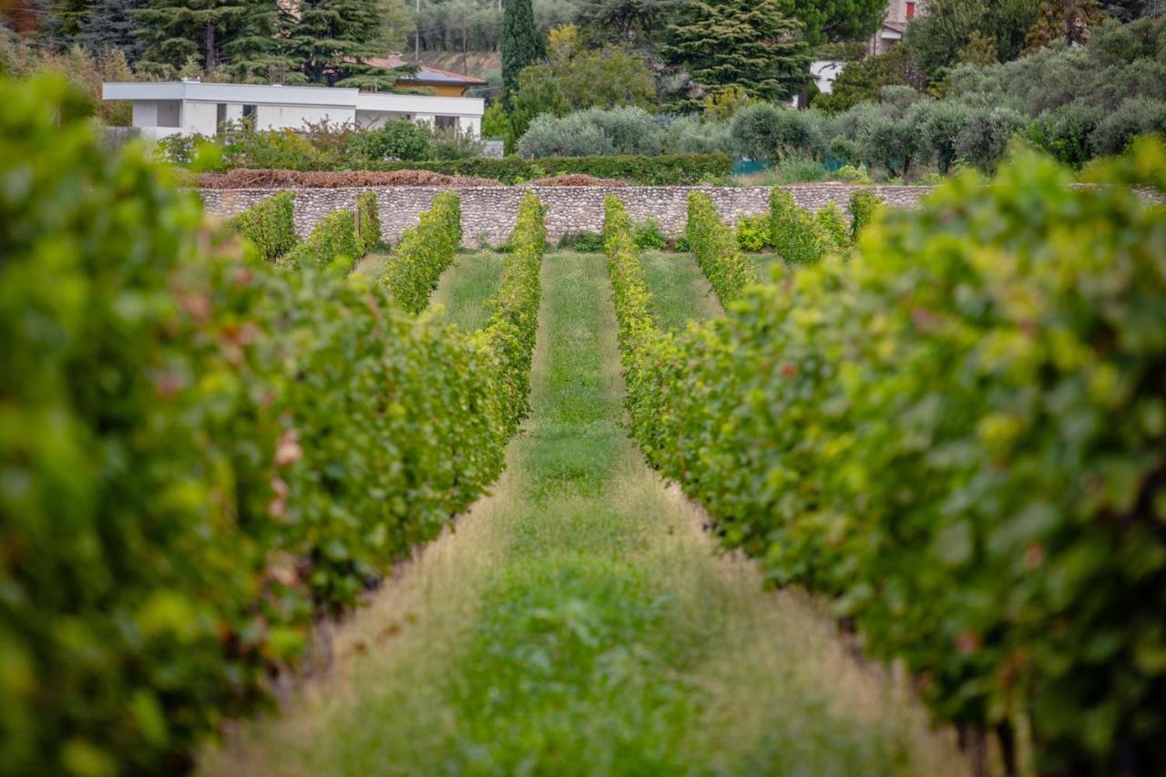 Agriturismo Borgata Levita باردولينو المظهر الخارجي الصورة